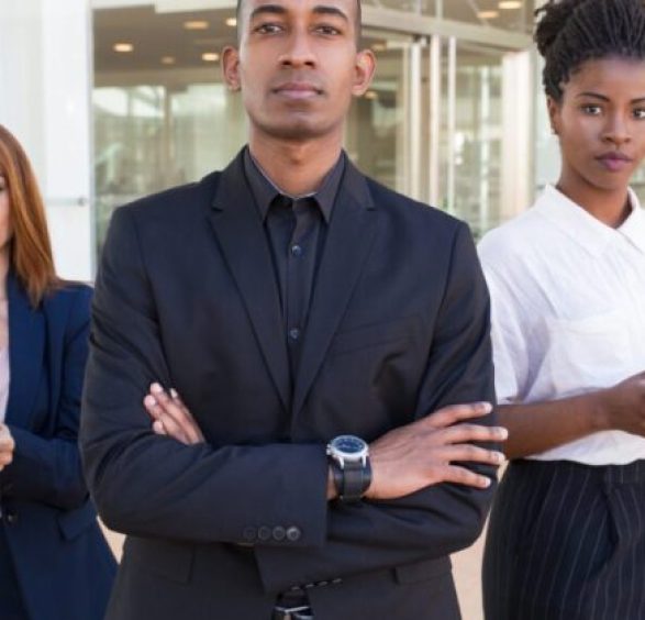 Professional Accountants